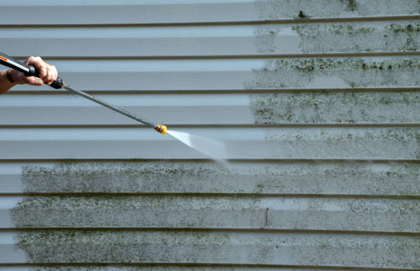 Best Affordable Power Washing  in Bushnell, IL