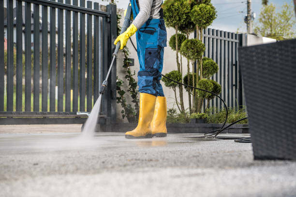 Best Pressure Washing Near Me  in Bushnell, IL