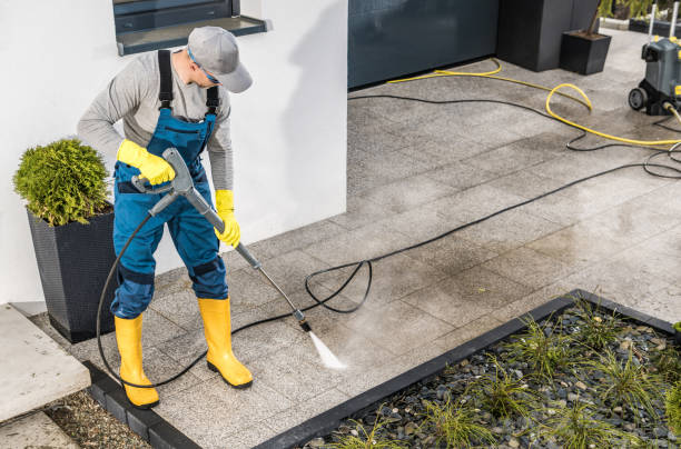Best Local Pressure Washing Services  in Bushnell, IL